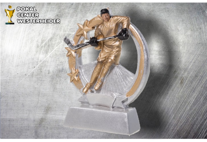Eishockey Pokal Trophäen silber-gold-schwarz