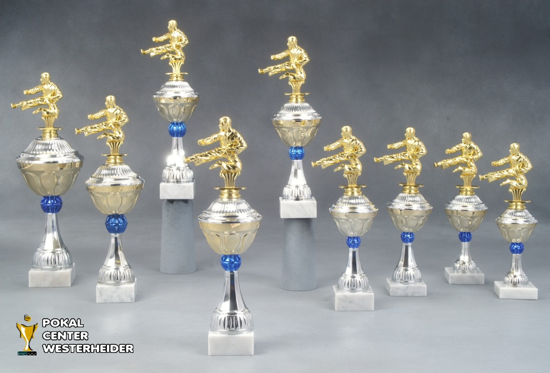 Taekwondo Pokale 'Boston' 7040-38235