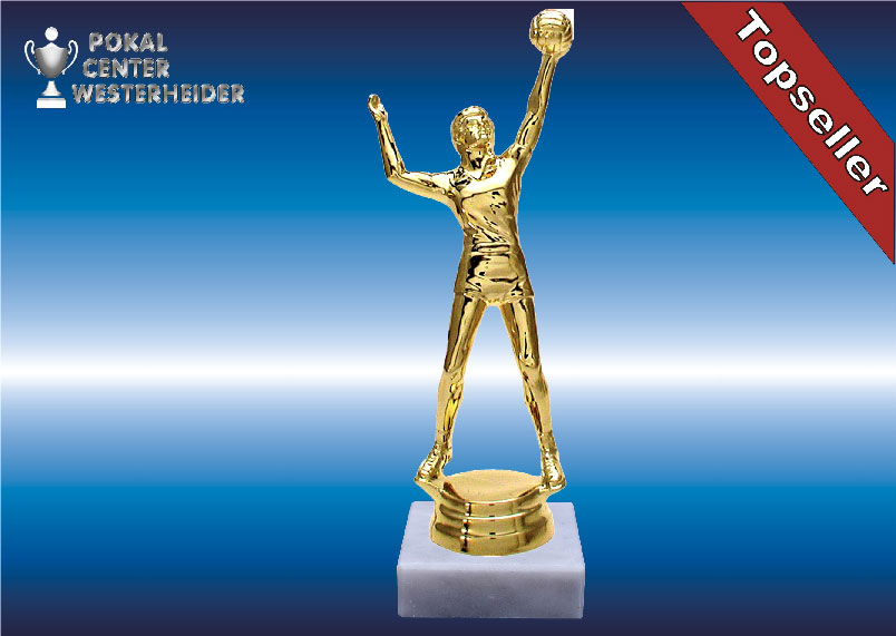 Herren Volleyball Trophäe in gold