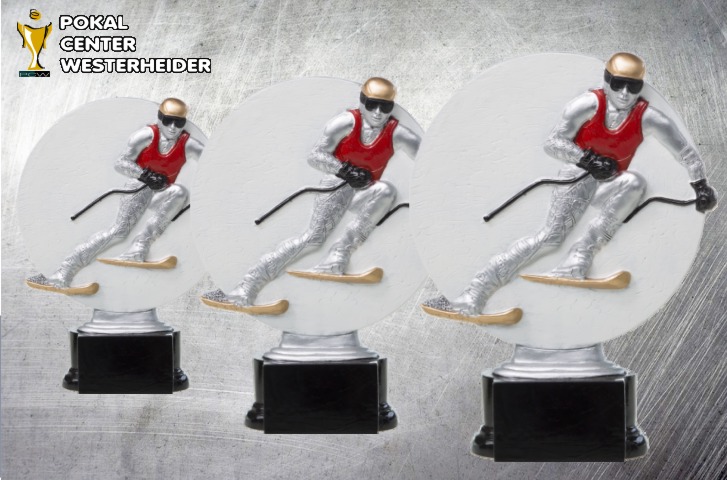 Ski Trophäe "Silver"