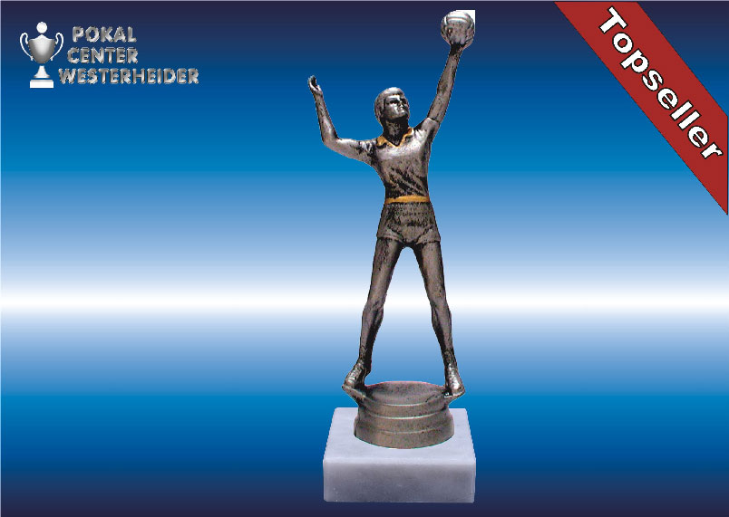 Herren Volleyball Trophäe silberantik