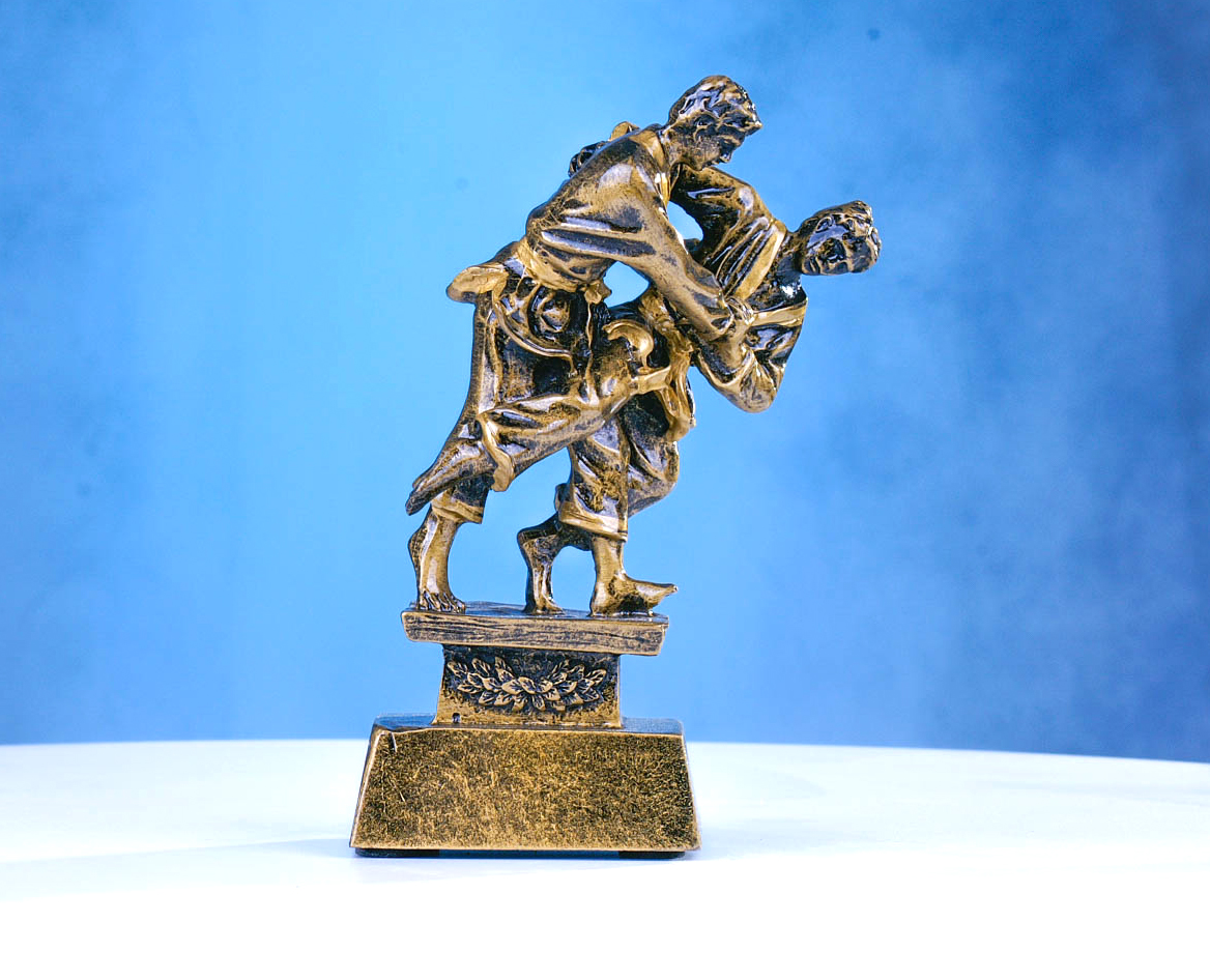 Judo Trophäe im Bronzelook