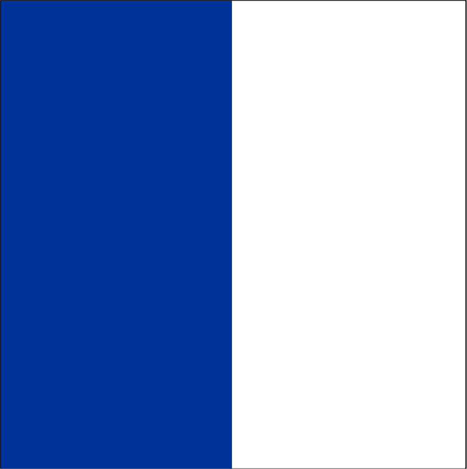 blau-weiß 521