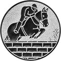 60909 Springreiter