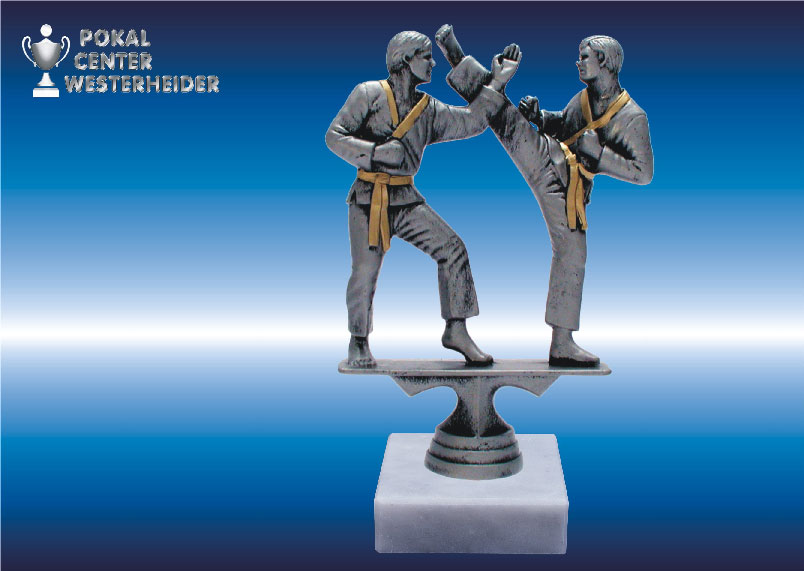 Karate Trophäe silberantik 