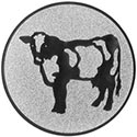 60603 Kuh